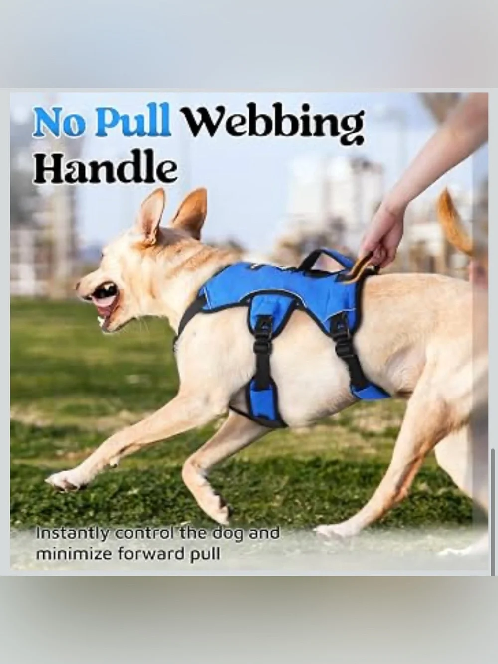 Rabbitgoo Escape Proof Dog Harness, Soft Padded Full Body Pet Harness 2380/dc-1